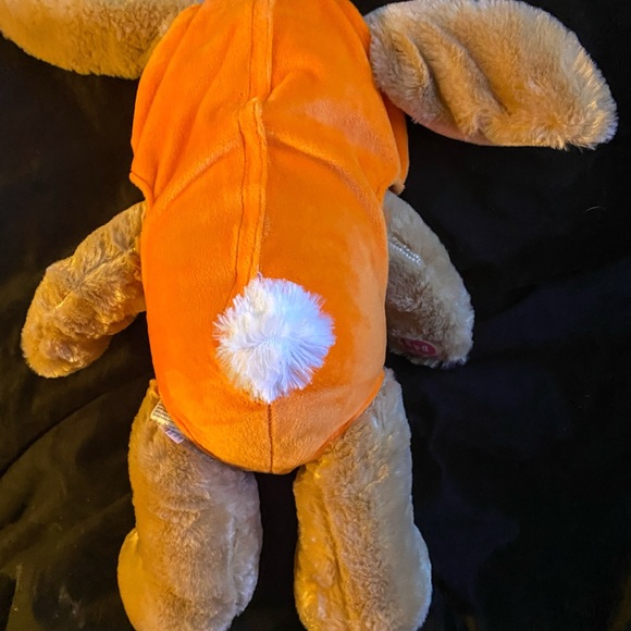 Build a Bear Bunny with carrot outfit in great condition. - Picture 4 of 5